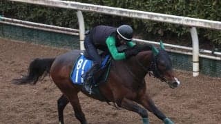 土曜中山競馬場の注目激走馬…中山１１Ｒオーシャンステークス・Ｇ３
