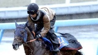 【中山記念・特選有力馬チェック】レーベンスティールは買うべき？　前走はマイル戦で１２着