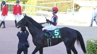 【オーシャンＳ】「直線で風の影響が…」鮫島克駿騎手　１番人気の２４年スプリンターズ覇者ルガルは３着　