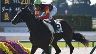 【チューリップ賞予想】阪神外回りは切れ味勝負！ 良績残すディープ系でも期待値低い意外な種牡馬とは？