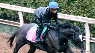 【チューリップ賞】ナムラコスモスが開花間近　大橋調教師「桜花賞に向けて権利を取りたい」