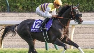 中山芝は先行有利が顕著 中山記念はセイウンハーデスで勝負だ