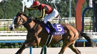 【AI予想・中山記念】人気の関東馬を素直に信頼するべき一戦!? 人工知能は実績馬の復活劇に期待