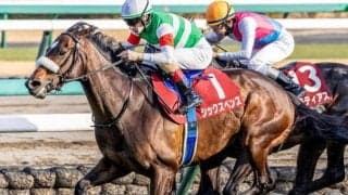 中山記念はリピーターに注目 過去10年の傾向を分析