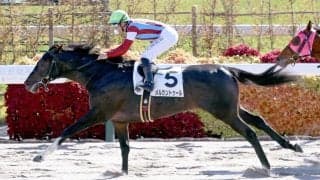 馬トクスタッフが選ぶ日曜の買うべき３頭　先週は連対率１００％！　阪神４ＲはＡＩ展開予想の高いＳＡ値で信頼