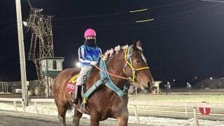 【今井千尋のばんえい日和】１１Ｒ女王サクラヒメのラストレース「勝って終えられるよう頑張ります」