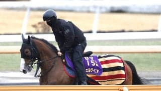 日曜中山競馬場の注目激走馬…中山１１Ｒ中山記念・Ｇ２