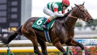 【中山記念・馬体重】レーベンスティールは484kg(-2)、セイウンハーデスは474kg(+2)