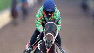 【チューリップ賞】タイセイボーグが悲願の重賞初制覇　惜敗続きに終止符打ち西村淳也騎手「信じて直線まで待ちました」