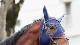 【中山記念】レーベンスティールが４年連続のＧ２勝利　戸崎圭太騎手「あとはＧ１というところまで来ている」