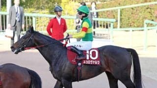 【中山記念】２番人気エコロヴァルツは３着で初タイトル逃す　横山武史騎手「距離も１ハロン延びた方がいい」