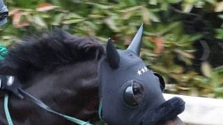 中山記念で１番人気評価にネット想定外「嘘やん」「気付いたら…」「罠だった」　セイウンハーデスは２桁着順に