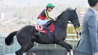 「次頑張ればええ」「長い目で見守る」リバティアイランド半妹が大敗もネットはおおらか　コニーアイランドは１３着