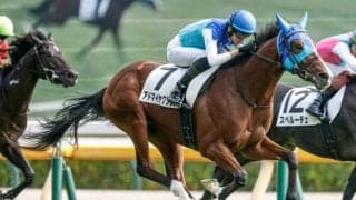 弥生賞、フィリーズレビューなど3重賞/今週の競馬界の見どころ