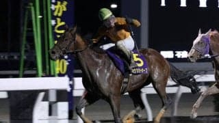 【高知・御厨人窟賞】ブービー人気のジョウショーホープが大金星！3連単510万円超の大波乱