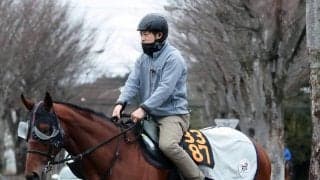 【報知杯弥生賞・三戸の特注馬】三浦騎手も高評価のタイダルロックが皐月賞への切符をつかむ