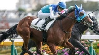 【弥生賞見どころ】前走で能力の高さを再認識できたアドマイヤクワッズ