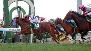 ２４３万馬券も出た！話題の“ハンデ戦”で「理想のレース」って？【ＪＲＡ現役ハンデキャッパーに聞いた】