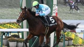 【中山牝馬S想定騎手】パラディレーヌは岩田望来騎手、アンゴラブラックは戸崎圭太騎手