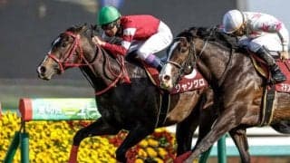 【先週のJRA抹消馬】22年のニュージーランドT覇者ジャングロ、JRA最後のゴールドアリュール産駒ヤウガウなど