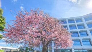 今年の新規開業厩舎を紹介 今週7名の調教師がデビュー