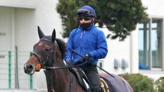 【報知杯弥生賞】皐月賞権利取りへ勝負気配漂うライヒスアドラー　共同通信杯から予定変更に上原佑調教師「延ばしてよかった」