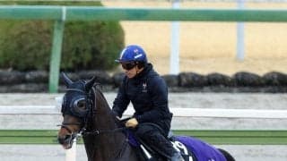【報知杯弥生賞】肉体、動きの質が格段にアップしたバステール　陣営「どれくらいやれるか。試金石ですね」