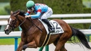 【フィリーズレビュー展望】好走条件を全て備えるメルメラーダに注目