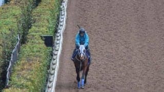 メイショウタバルなど、先週の入厩情報/栗東トレセンニュース