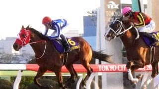 【注目馬動向】雲取賞勝ちのリアライズグリントは国内専念で羽田盃へ　アンジュプロミスは葵Ｓが目標