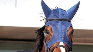 【報知杯ＦＲ】メルメラーダが回避　左前第一指骨矢状骨折で近日中に手術の予定