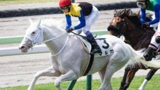 【フィリーズレビュー】「白毛のアイドル候補」マルガ 今度こそ重賞初制覇なるか