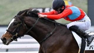 【弥生賞】デビュー3年目の高杉吏麒騎手 バリオスで重賞初制覇なるか