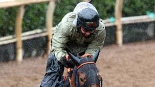 【報知杯ＦＲ】メンバー唯一のオープン勝ち馬コラルリーフは距離対応がポイント　佐藤悠調教師「ここの結果次第で…」