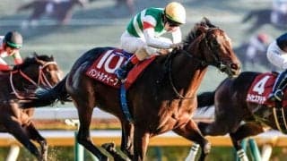 【弥生賞予想オッズ】パントルナイーフが予想1番人気