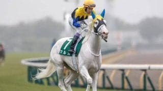 【フィリーズレビュー予想オッズ】マルガが予想1番人気