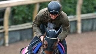 【報知杯ＦＲ】相手なりに堅実なプリンセスモコが桜の権利取りへ　藤原調教師「いいレースをして桜花賞に向かえたら」