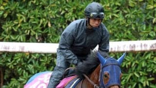 【報知杯ＦＲ】末脚魅力のテイエムスティールは展開次第で台頭　高橋一調教師「しまいは確実にきてくれる」