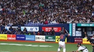 侍強化試合にいた“人気美女”「え、来てたんだ」　まさかの報告に驚き「羨ましい」