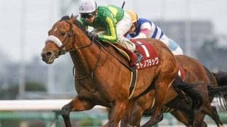 武豊騎手とディープ産駒サトノフラッグが勝利 改称初年度の弥生賞ディープインパクト記念を振り返る