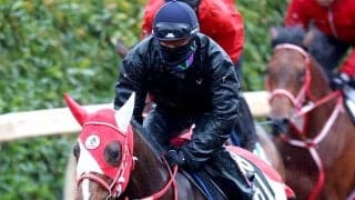 【報知杯弥生賞】ＧＬＡＹのＴＥＲＵが名付け親のテルヒコウは回避　坂井瑠星騎手とのコンビでスプリングＳへ