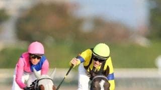 【注目馬動向】中東情勢の影響を受けマスカレードボールはドバイ遠征中止　大阪杯へ　