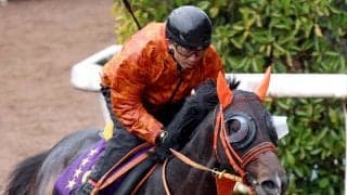 【注目馬動向】ジャンタルマンタルはドバイ遠征中止　中東情勢の影響を受け　チャンピオンズマイルなどを候補に次走を決定