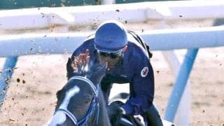 悪化する中東情勢　ドバイ遠征組回避で「国内レースが豪華に」「史上最高メンバー」ＳＮＳは大阪杯に注目