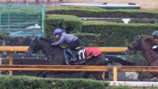 アスクエジンバラ、スプリングS1週前追い切り速報/栗東トレセンニュース