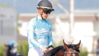２４年宝塚記念Ｖのブローザホーンが現役引退　今後は馬事公苑で乗馬に　吉岡調教師「いい余生を送ってほしい」