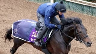 【注目馬動向】ミュージアムマイルは変わらずドバイ・ターフへ　出走しない場合は大阪杯かクイーンエリザベス２世カップ視野