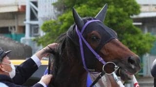 ２０２１年の兵庫ＣＳを制したリプレーザが競走馬登録抹消　今後は地方競馬に移籍する予定