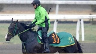 【注目馬動向】フレグモーネにより報知杯弥生賞を回避のオルフセンは青葉賞を新たな目標に