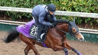 【報知杯弥生賞・ヤマタケが見た】平凡な時計だからこそ伝わる好仕上がり　アドマイヤクワッズの状態に不安なし